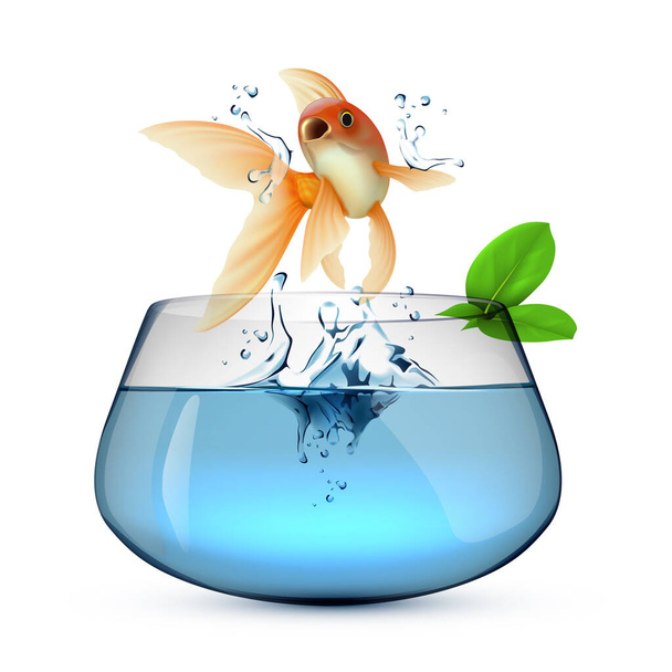 goldfish in the water - Вектор,изображение