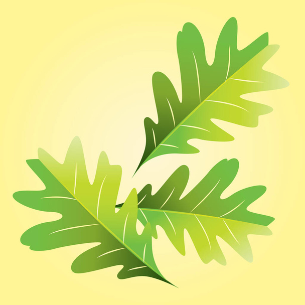 vector illustration of a leaf of green leaves - Vektor, Bild