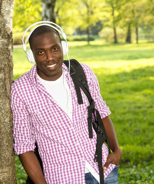Positivo joven afroamericano hombre escucha música en un parque
 - Foto, Imagen