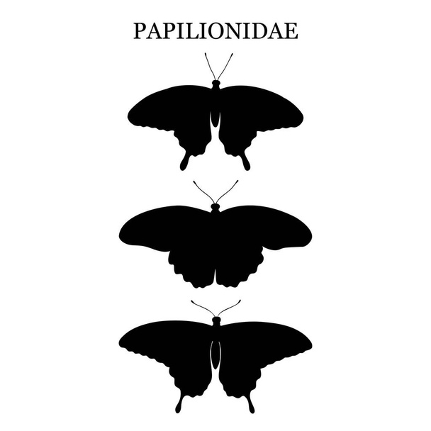 Tropische Schmetterlinge Schwalbenschwanzsilhouette. Handgezeichnete Insekten. Vektorillustration. - Vektor, Bild
