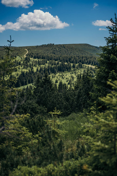 Дерево з горою на задньому плані
 - Фото, зображення