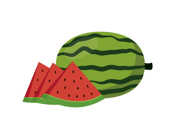 Detaillierte Wassermelone zusammen mit dem Slices Illustration Vector - Vektor, Bild
