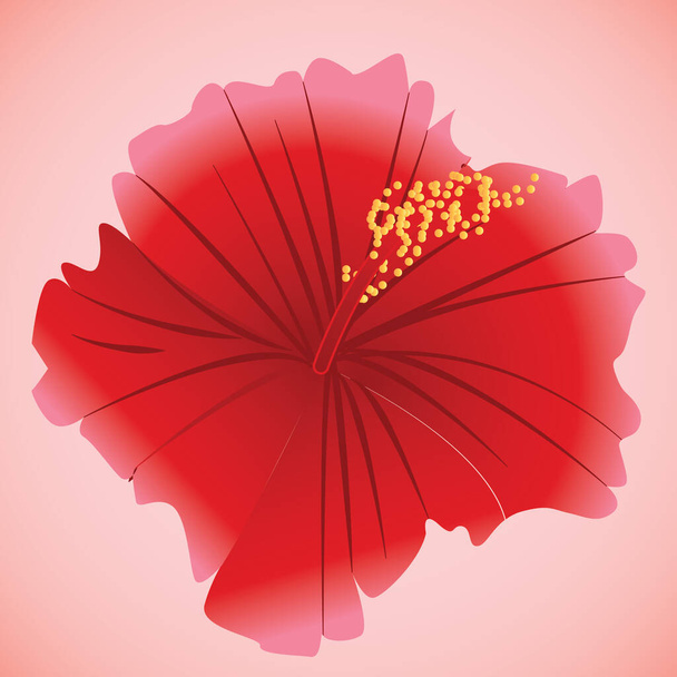vector illustration of a flower - Вектор,изображение