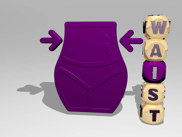 3D graphical image of WAIST vertically along with text built around the icon by metallic cubic letters from the top perspective. excellent for the concept presentation and slideshows. woman and - Photo, Image