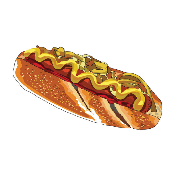 vector illustration of hot dog - Vector, imagen