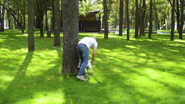 Giovane uomo a piedi con il suo cane Jack Russell nel parco estivo - Filmati, video