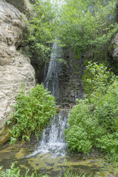 waterfall in the river surrounded by vegetation, there are stones and rocks - Foto, Imagen