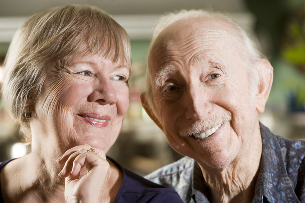 Portrait of Senior Couple - 写真・画像