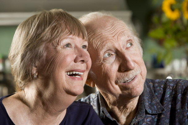 Portrait of Senior Couple - Foto, imagen