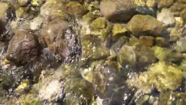 Uma corrente rápida do rio da montanha. Limpar, faíscas de água transparentes frias ao sol. - Filmagem, Vídeo