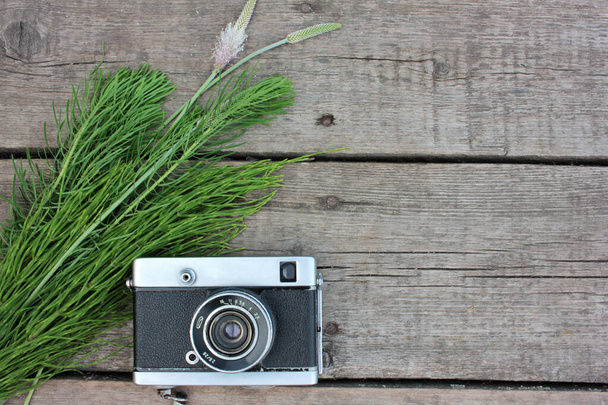 コピースペースと木製の背景に古いヴィンテージフィルム写真カメラと緑の植物。トップ表示 - 写真・画像