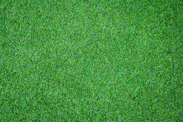 Φυσικό πράσινο φόντο γρασίδι  - Φωτογραφία, εικόνα