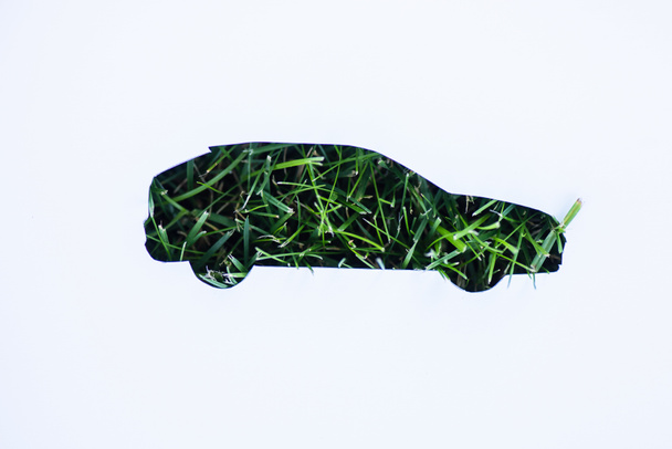 Top weergave van groen gras in auto teken op witte achtergrond, ecologie concept - Foto, afbeelding