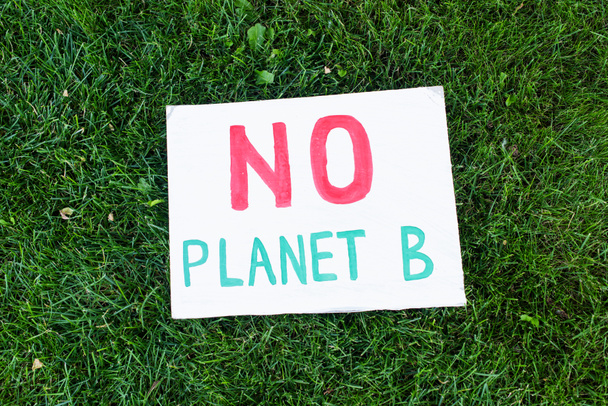 Top view of placard with no planet b lettering on grass outdoors, ecology concept - Фото, зображення