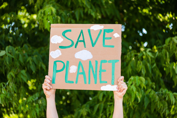 Cropped view of man holding placard with save planet lettering with trees at background, ecology concept - Zdjęcie, obraz