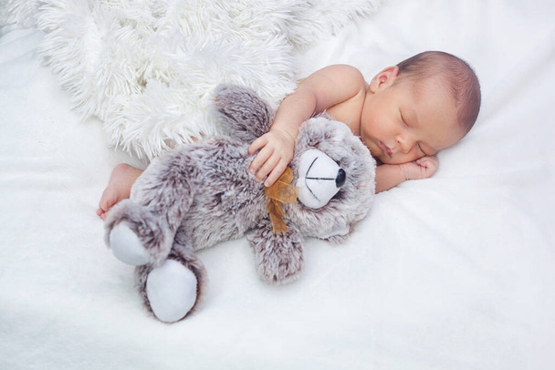 Novorozenec spí objímající velkého medvídka - Fotografie, Obrázek