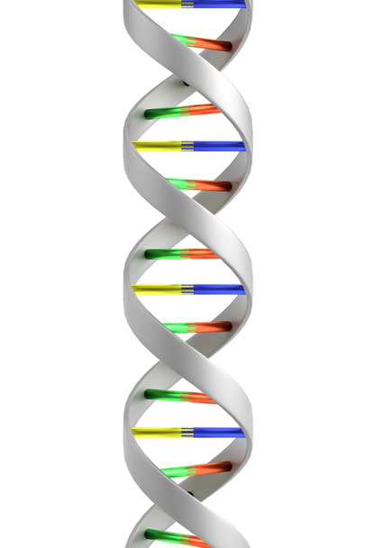 Realistic 3d render of DNA - Photo, Image