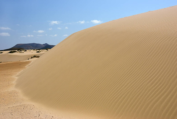 Scenic view of sand dunes on the beach Corralejo, Fuerteventura, Canary Islands, Spain - Photo, Image