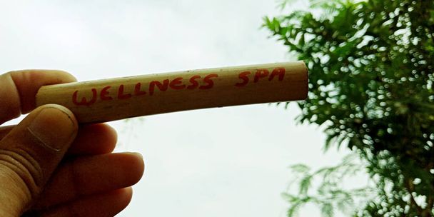 Оздоровчий спа-слово, представлене на бамбуковій паличці з барвистими квітами на фоні неба
. - Фото, зображення