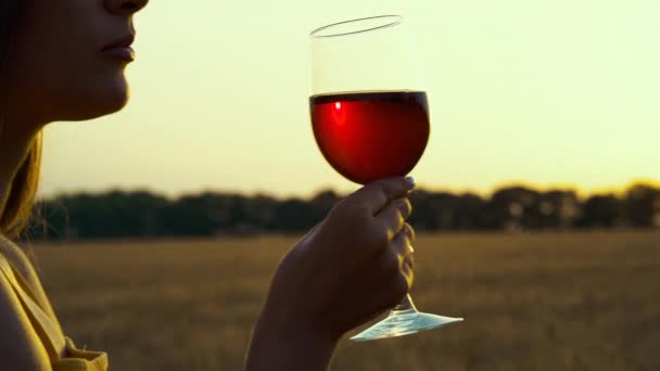 Girl drinking wine in countryside at sunset - Video