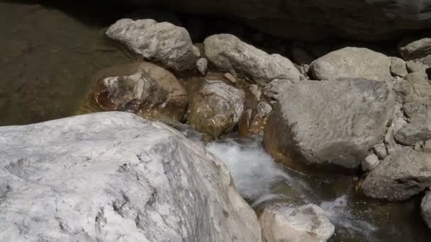 Een snelle stroming van de bergrivier. Schoon, koud, transparant water schittert in de zon. - Video