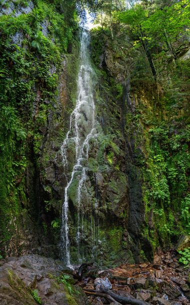 Burgbach Waterfall near Bad Rippoldsau-Schapbach in the Black Forest, Γερμανία - πορτραίτο πανόραμα μορφή το καλοκαίρι - Φωτογραφία, εικόνα