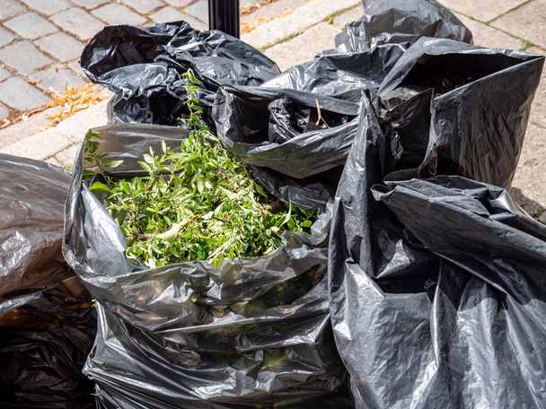 садові відходи в сміттєвих мішках
 - Фото, зображення