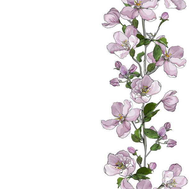 Floral vertical seamless border of pale pink flowers on branches, apple blossom on white background. Hand drawn. Copy space. Vector stock illustration. - Vektor, obrázek