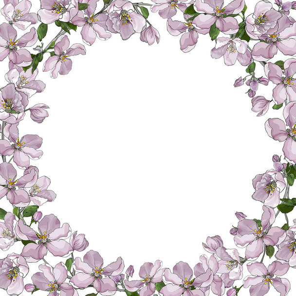 Cadre floral avec fleurs sakura sur fond blanc. Tiré à la main. Branches avec des fleurs de pomme ou de cerisier pour les invitations de mariage, cartes de vœux, page web. Style aquarelle. Illustration vectorielle. - Vecteur, image