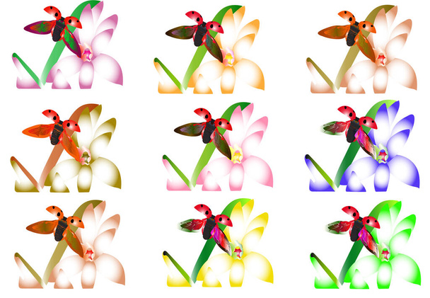   joaninha em flores coloridas variegadas
 - Vetor, Imagem