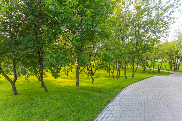 Green Park with trees and lawn near the entertainment center Island of dreams in Moscow - Fotoğraf, Görsel
