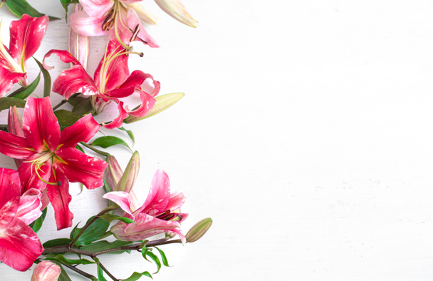 Όμορφα, κόκκινα λουλούδια Λίλι, σκορπισμένα σε λευκό φόντο, κοντινό πλάνο. Χώρος για κείμενο. - Φωτογραφία, εικόνα