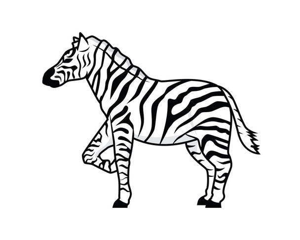 Detailed Standing Zebra Horse Illustration Vector - Διάνυσμα, εικόνα