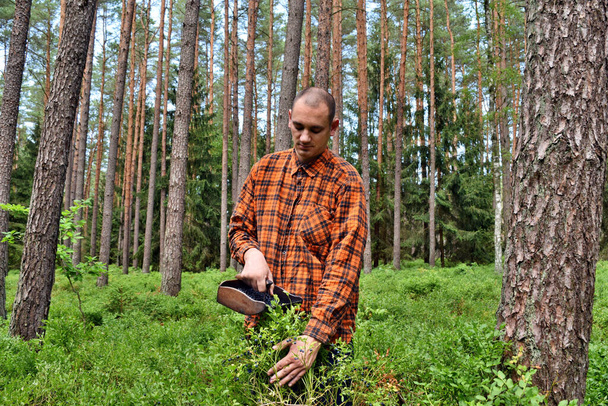 Młody człowiek zbiera jagody specjalnym grzebieniem w lesie - Zdjęcie, obraz