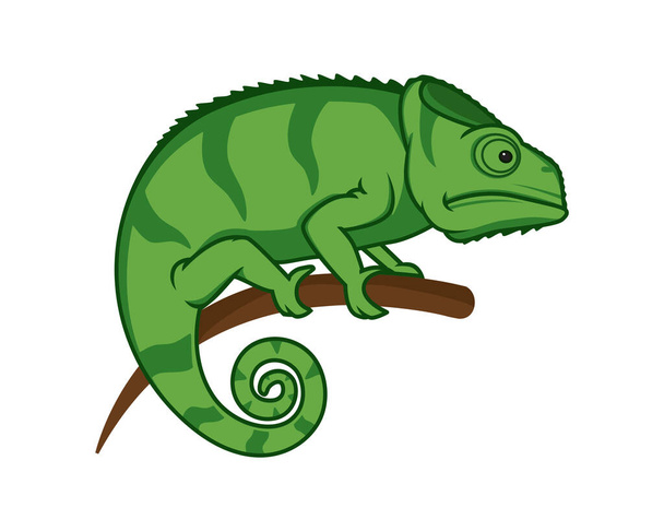 Chameleon Perched on the Branch Illustration Vector - Vector, Image