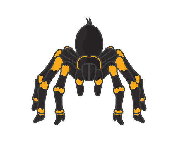 Gedetailleerde spin met staande gebaren Illustratie Vector - Vector, afbeelding