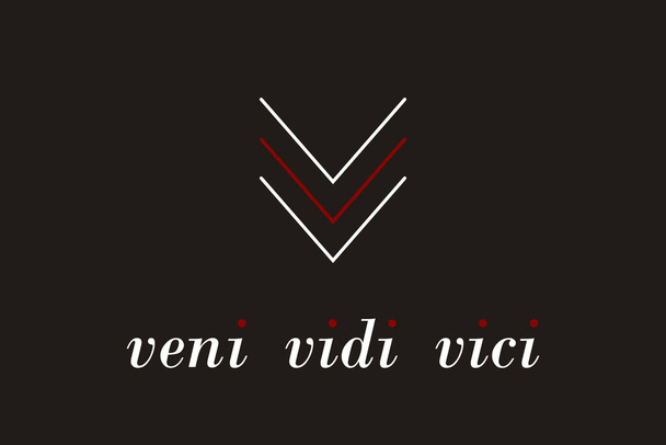 ヴェニ・ヴィディ・ヴィシー。ラテン語の引用ポスター。翻訳:私は来た、私は見た、私は征服した。インスピレーションの引用 - ベクター画像