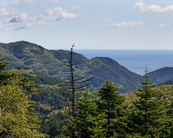 Landscape of Sakhalin Island. Top view of the hills and the Sea of Okhotsk. - Photo, Image