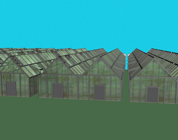 Glasgewächshäuser für den Gemüseanbau im Winter - Foto, Bild