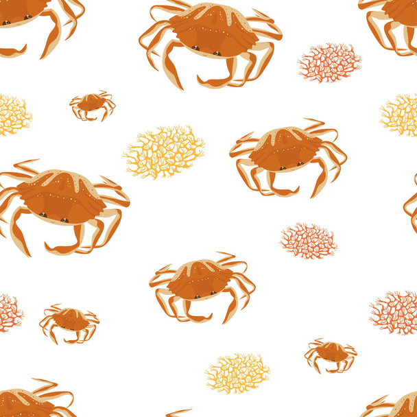 Seamless pattern with crabs and algae on white background. - Vettoriali, immagini