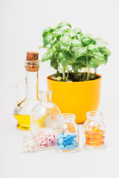 selective focus of green plant in flowerpot near pills in glass bottles and essential oil on white background, naturopathy concept - Photo, Image
