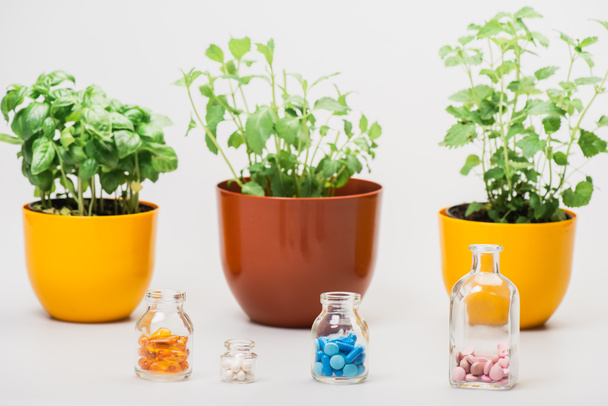 selective focus of green plants in flowerpots near pills in glass bottles on white background, naturopathy concept - Photo, Image