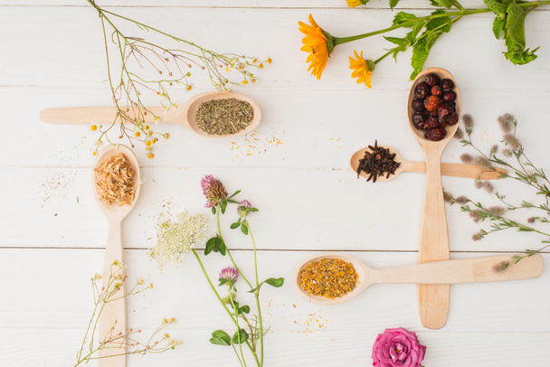 top view of herbs in spoons and flowers on white wooden background, naturopathy concept - 写真・画像