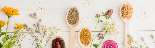 panoramic shot of herbs in spoons and flowers on white wooden background, naturopathy concept - Photo, Image