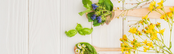 Panoramaaufnahme von Kräutern und grünen Blättern in Löffeln in Blütennähe auf weißem Holzgrund, Naturheilverfahren-Konzept - Foto, Bild