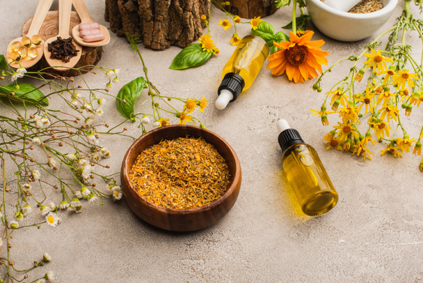 wildflowers, herbs, bottles and pills on concrete background, naturopathy concept - Photo, Image