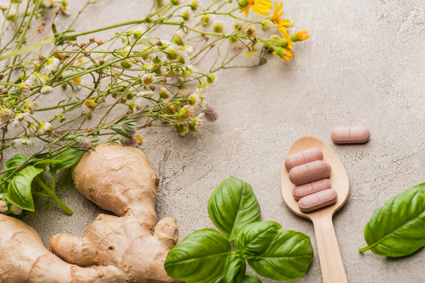herb, green leaves, ginger root and pills in wooden spoon on concrete background, naturopathy concept - Photo, Image