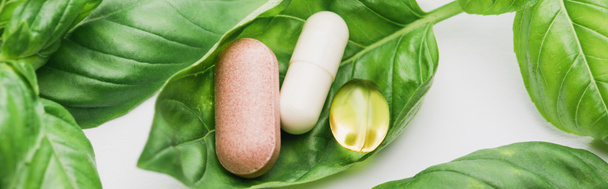 panoramic shot of pills and green leaves on white background, naturopathy concept - Photo, Image