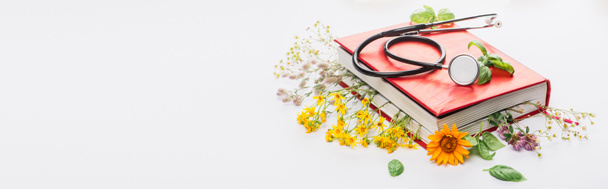 panoramic shot of herbs in book with stethoscope on white background, naturopathy concept - Photo, Image
