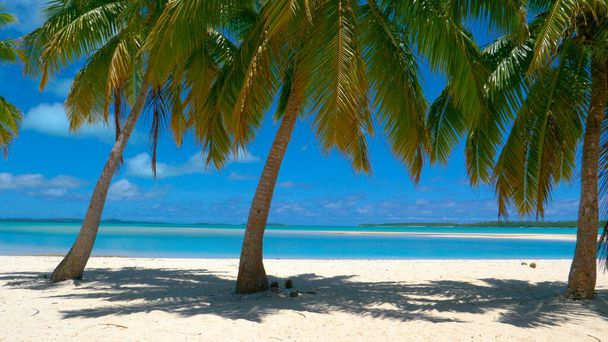 絵のように美しいクック諸島の手付かずの熱帯ビーチの美しいショット. - 写真・画像